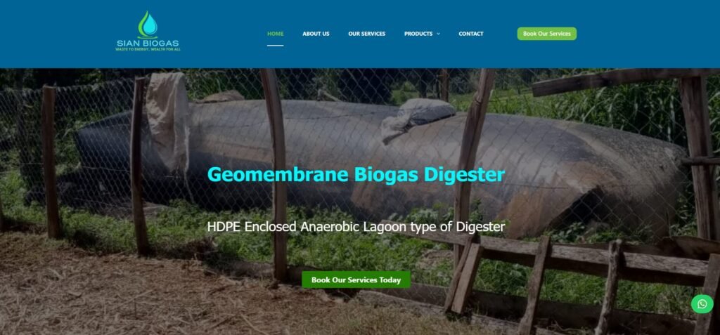 Professional Web Design Services in Nairobi Kenya