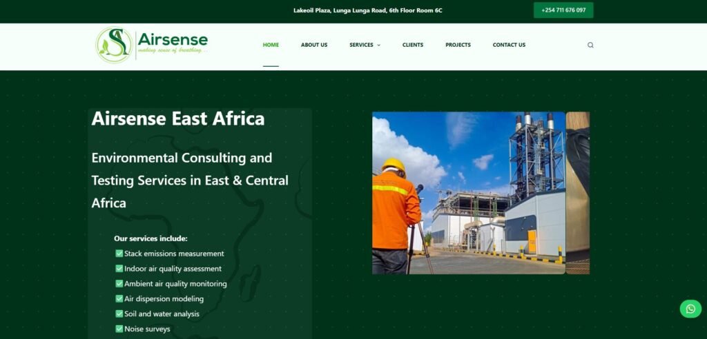 Professional Web Design Services in Nairobi Kenya