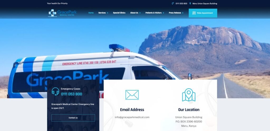 Professional Web Design Services in Nairobi Kenya